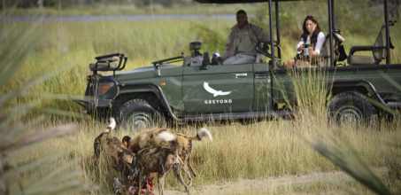 Game drives in the Okavango